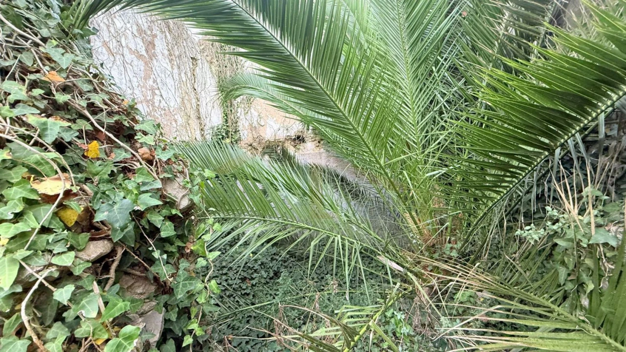 Moradia T0 para Venda em Serra D'El-Rei Foto 8