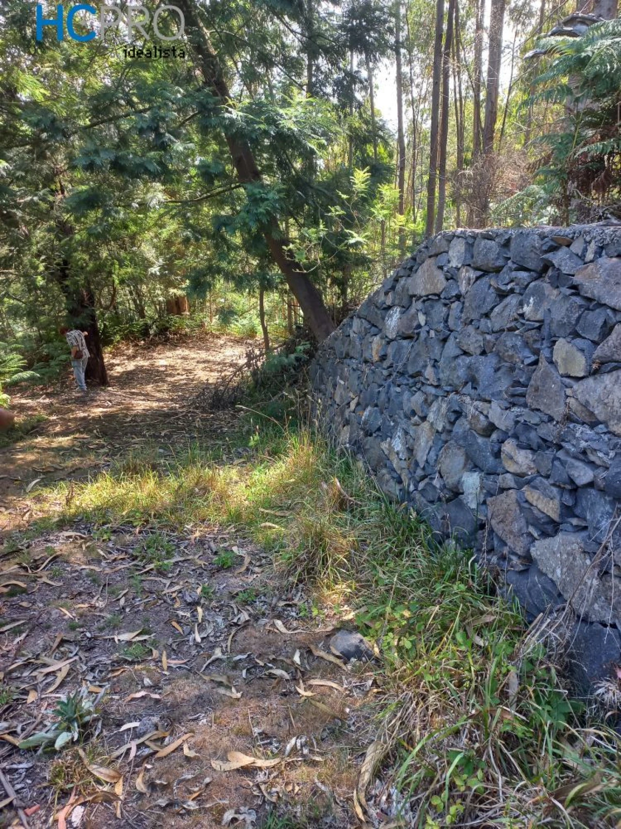 Terreno para Venda em Monte Foto 1