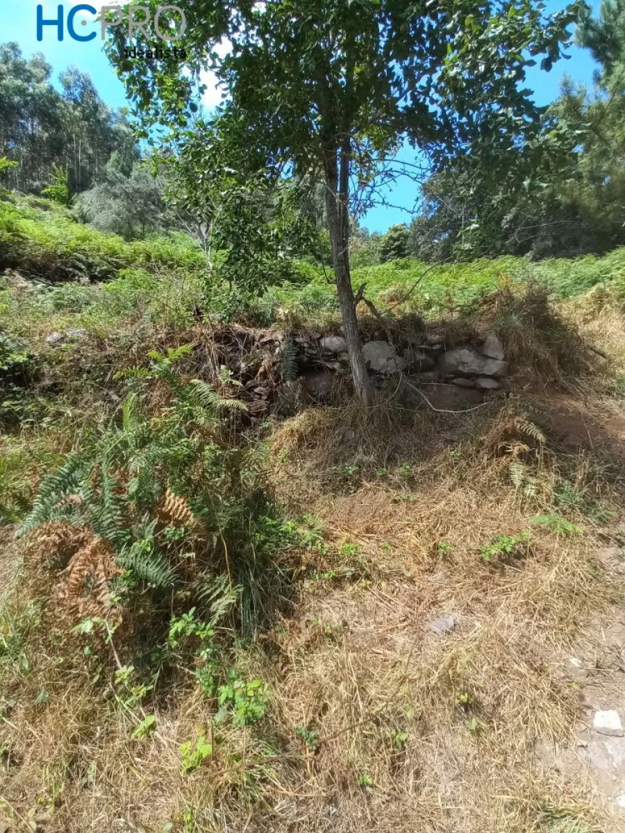 Terreno para Venda em Monte Foto 7