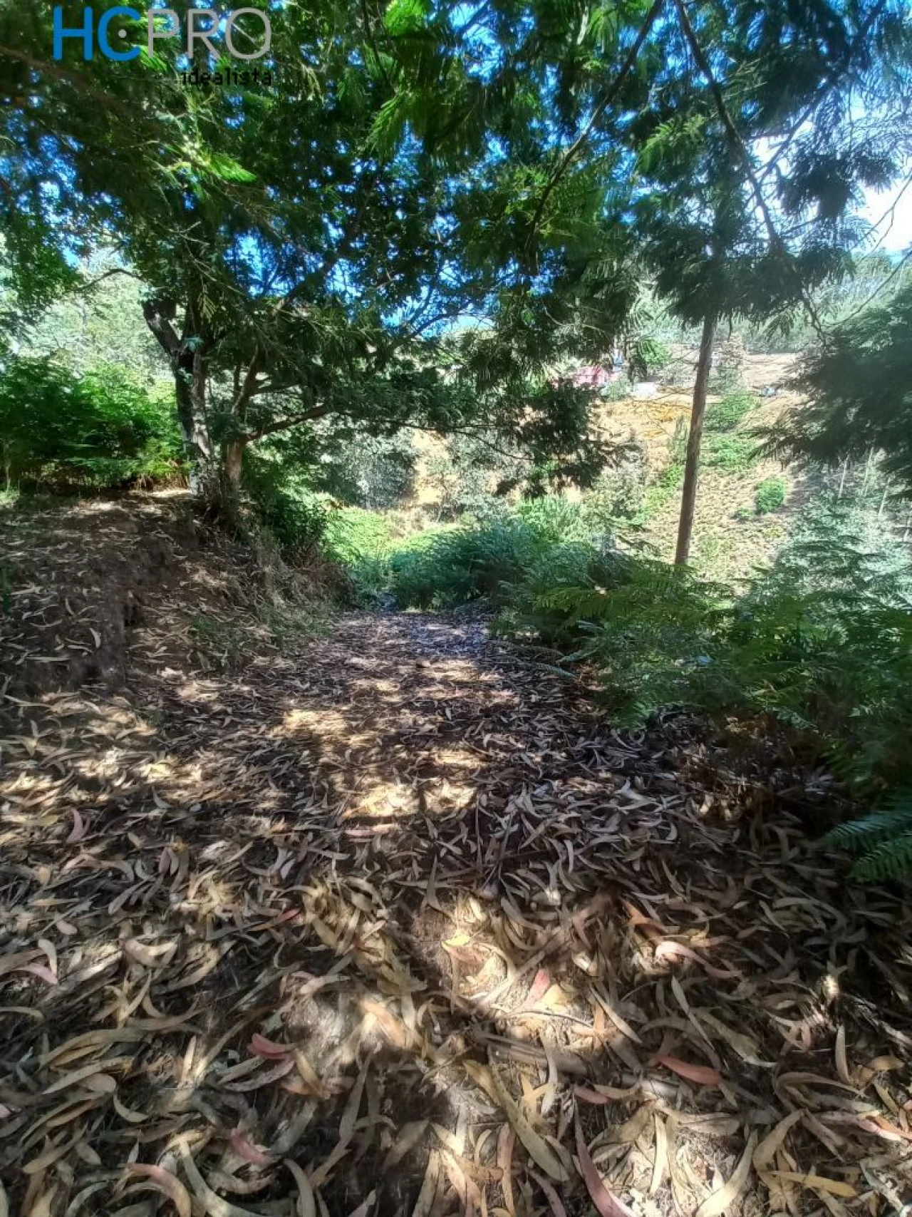 Terreno para Venda em Monte Foto 3