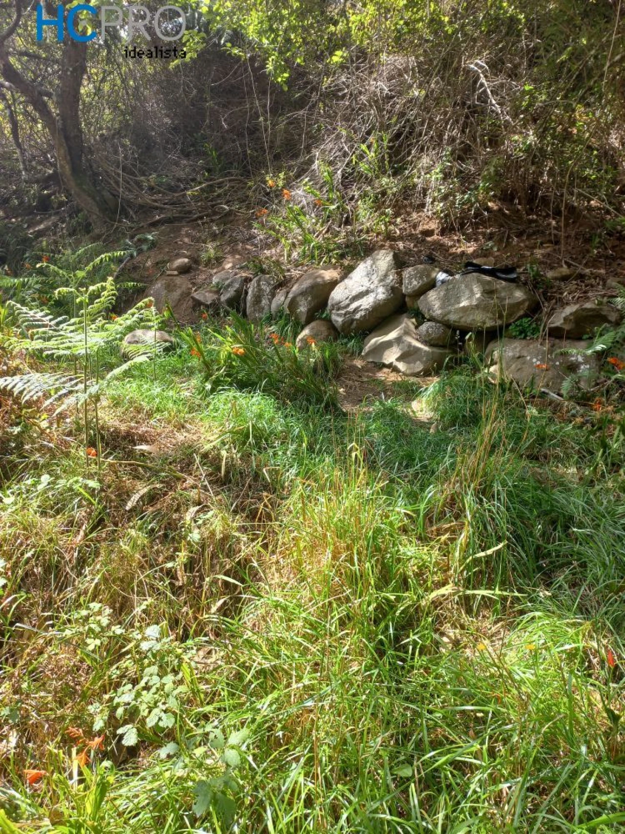 Terreno para Venda em Monte Foto 6
