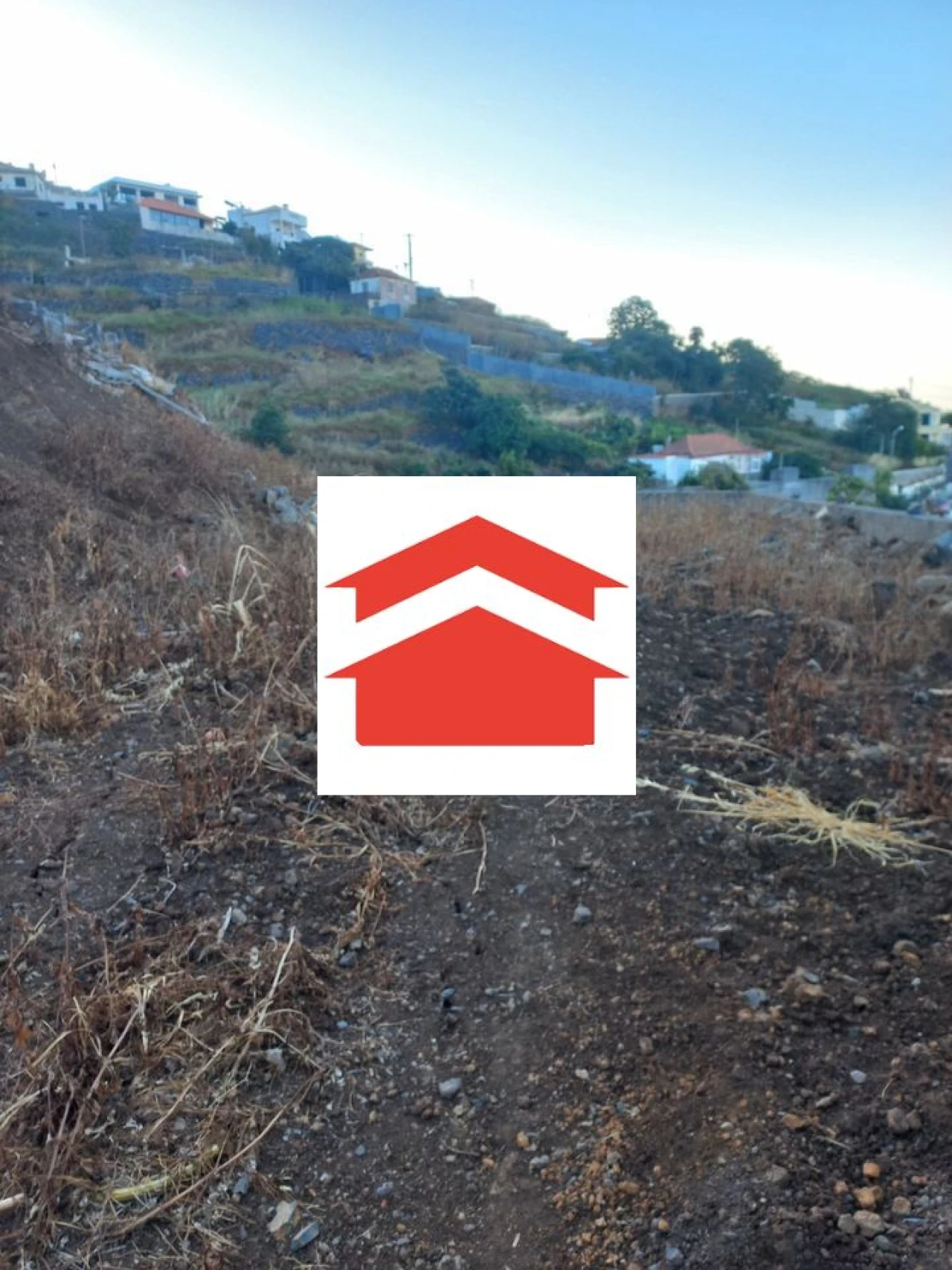 Terreno para Venda em Funchal (Santa Maria Maior) Foto 6