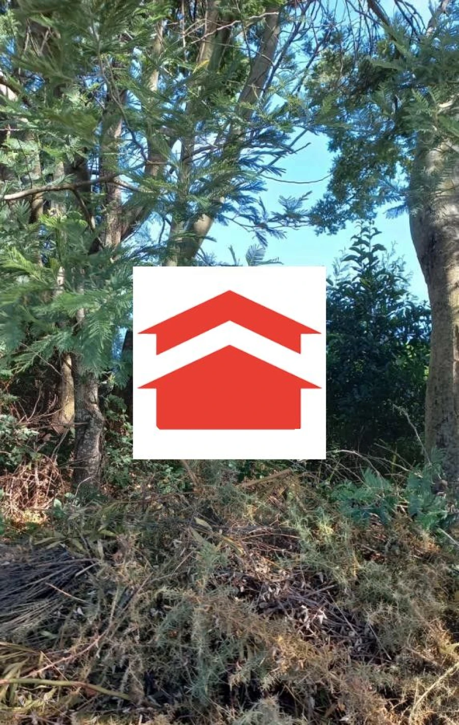 Terreno para Venda em Camacha Foto 4