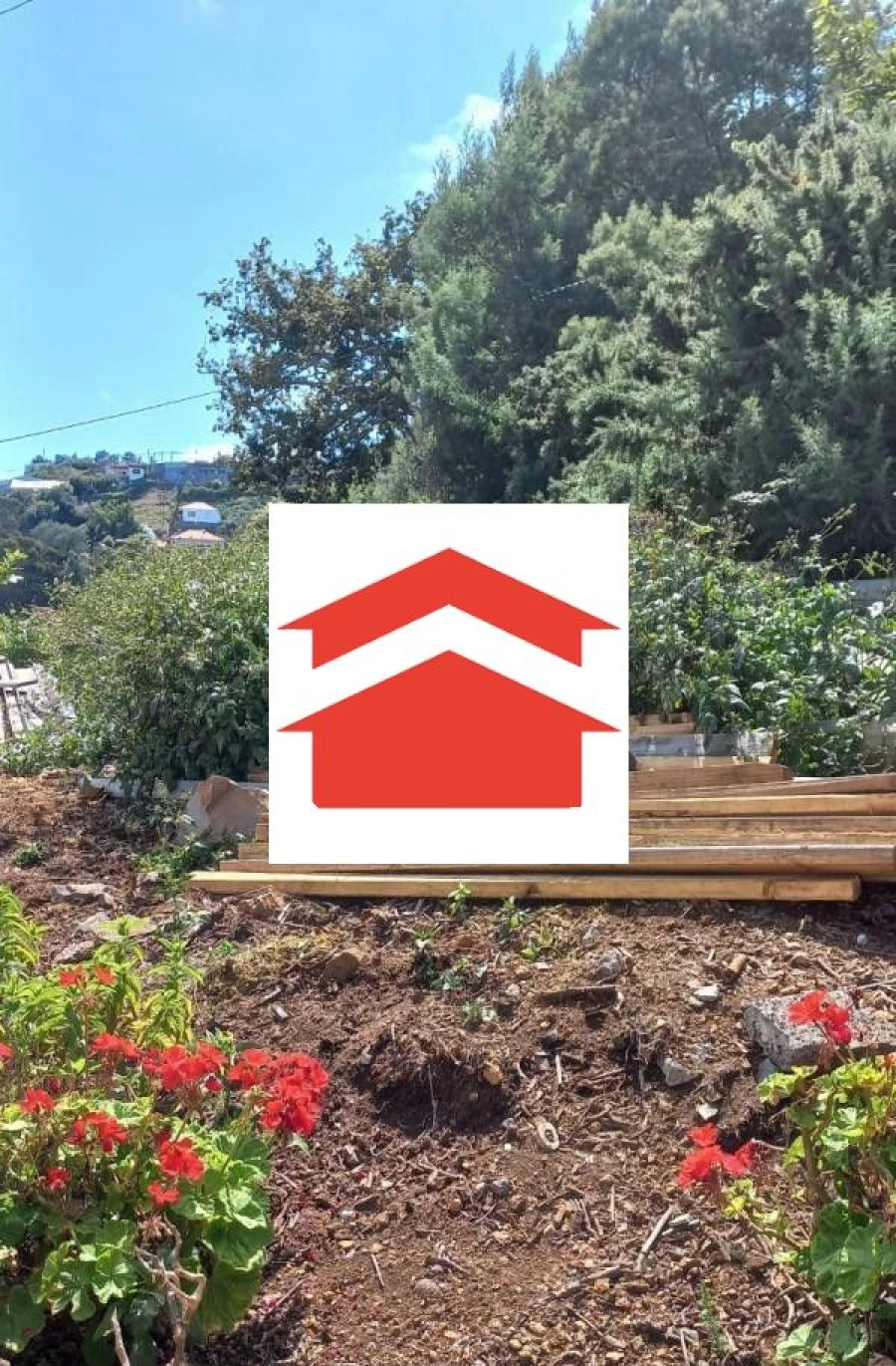 Terreno para Venda em Camacha Foto 3