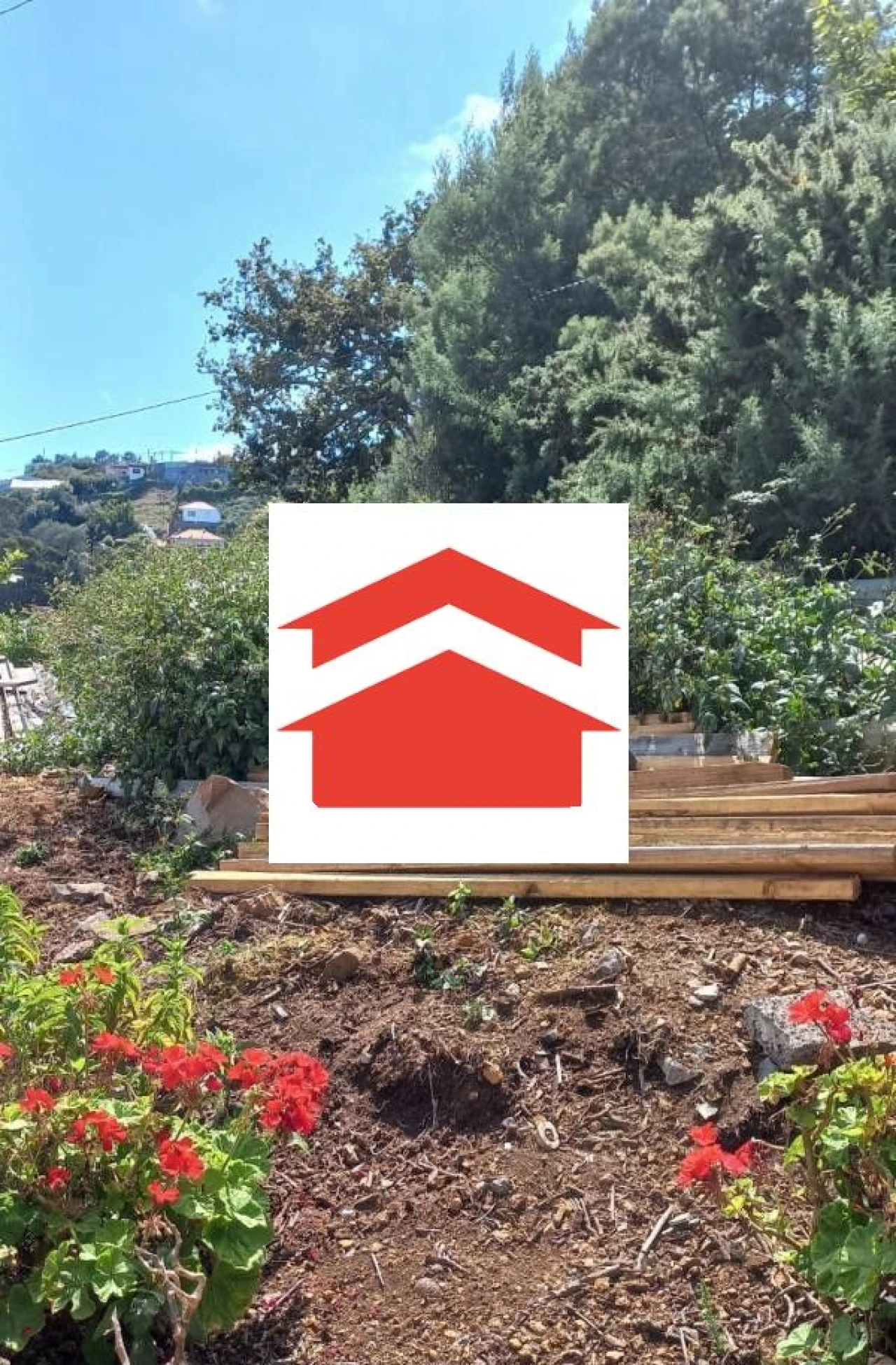 Terreno para Venda em Camacha Foto 3