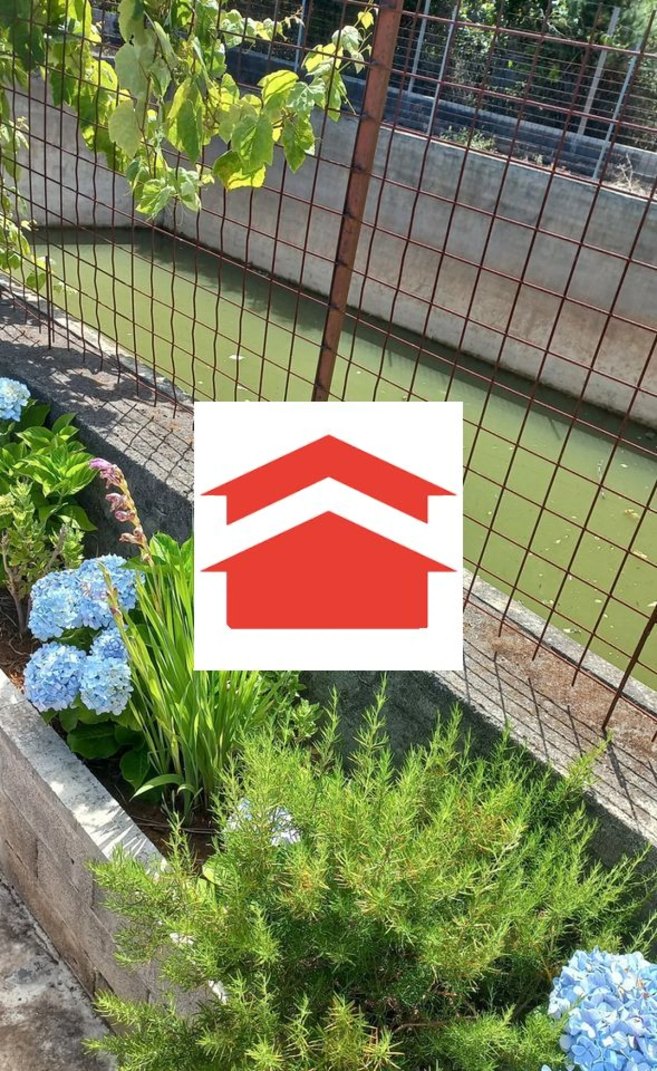 Terreno para Venda em Camacha Foto 5