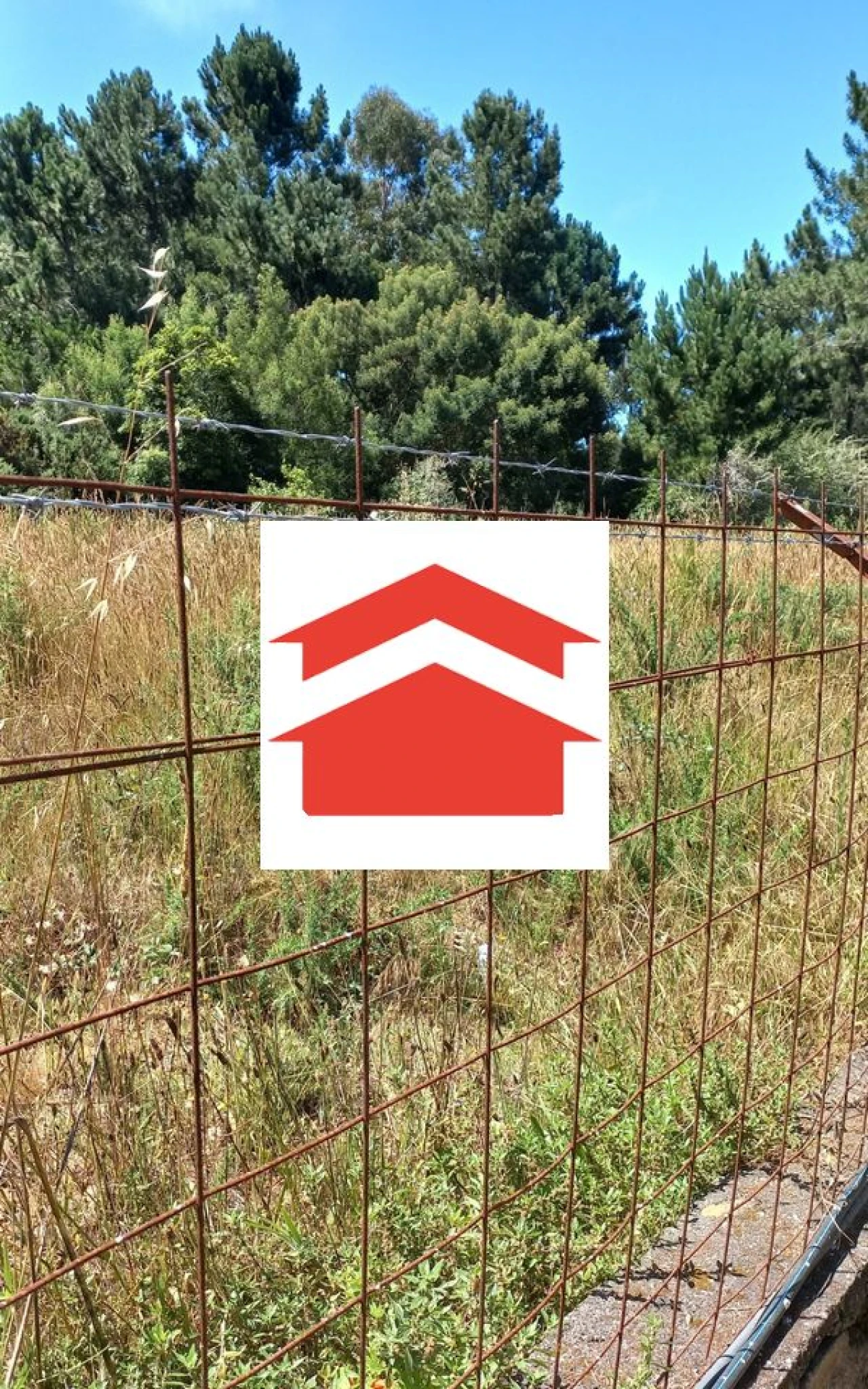 Terreno para Venda em Camacha Foto 6