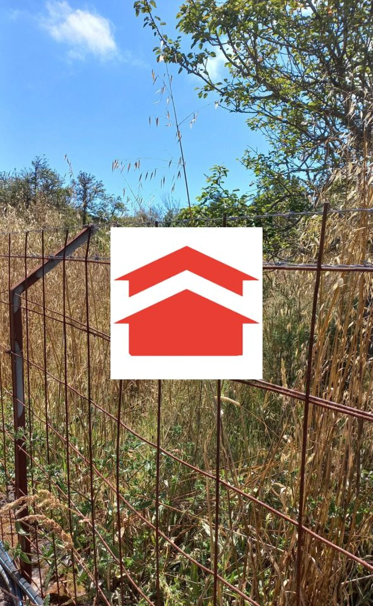 Terreno para Venda em Camacha Foto 3