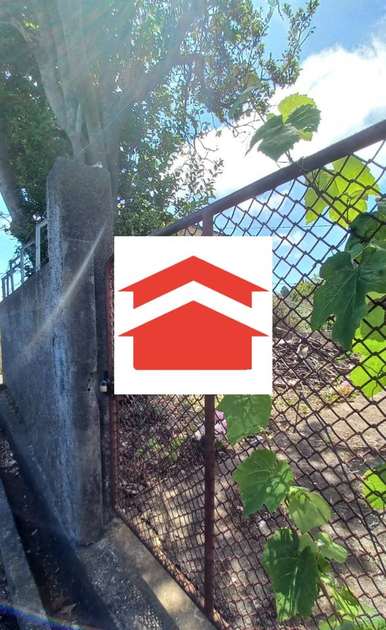 Terreno para Venda em Camacha Foto 1