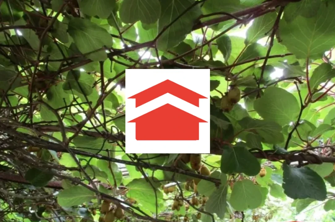 Terreno para Venda em Santo Antonio da Serra Foto 10