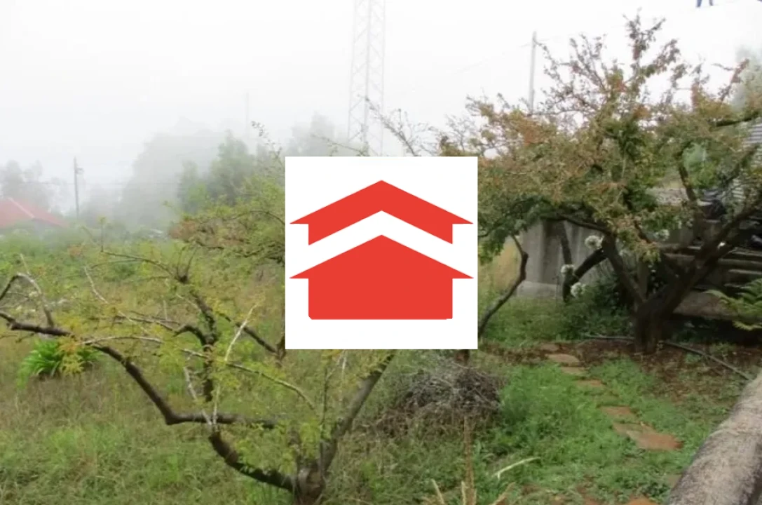 Terreno para Venda em Santo Antonio da Serra Foto 5