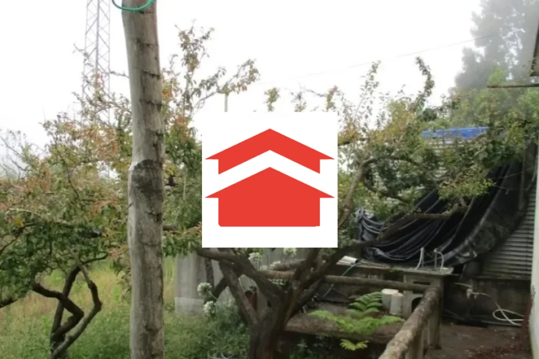 Terreno para Venda em Santo Antonio da Serra Foto 8