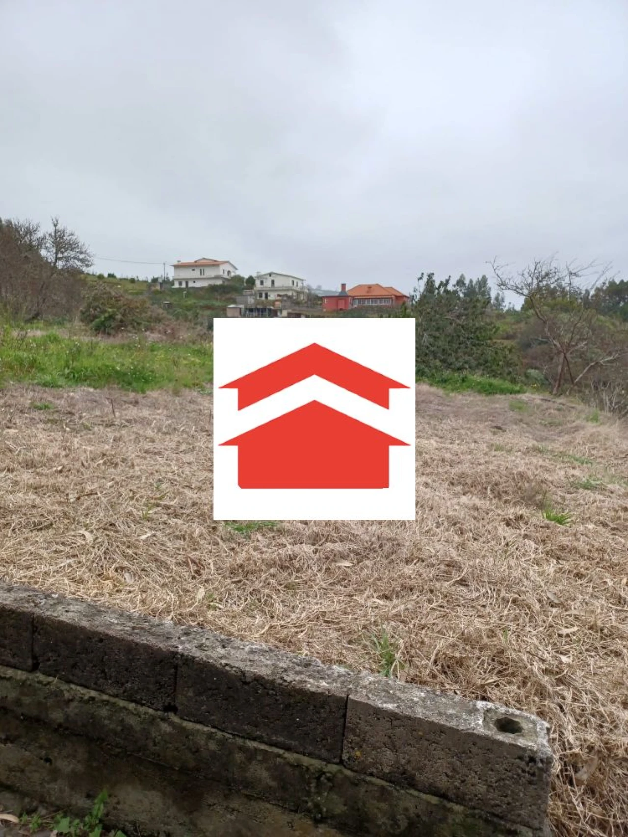 Terreno para Venda em Santa Cruz Foto 2