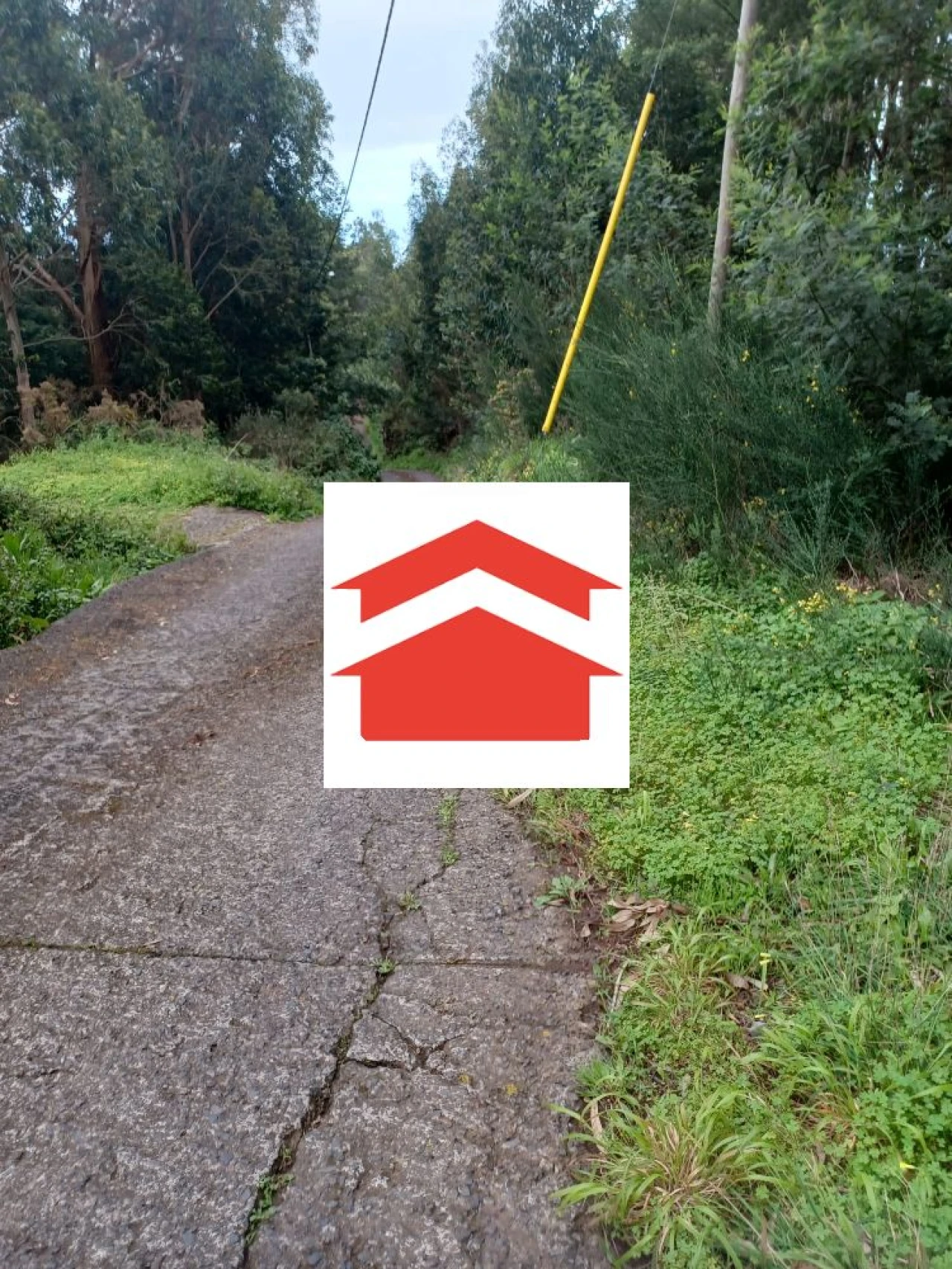 Terreno para Venda em Santa Cruz Foto 3