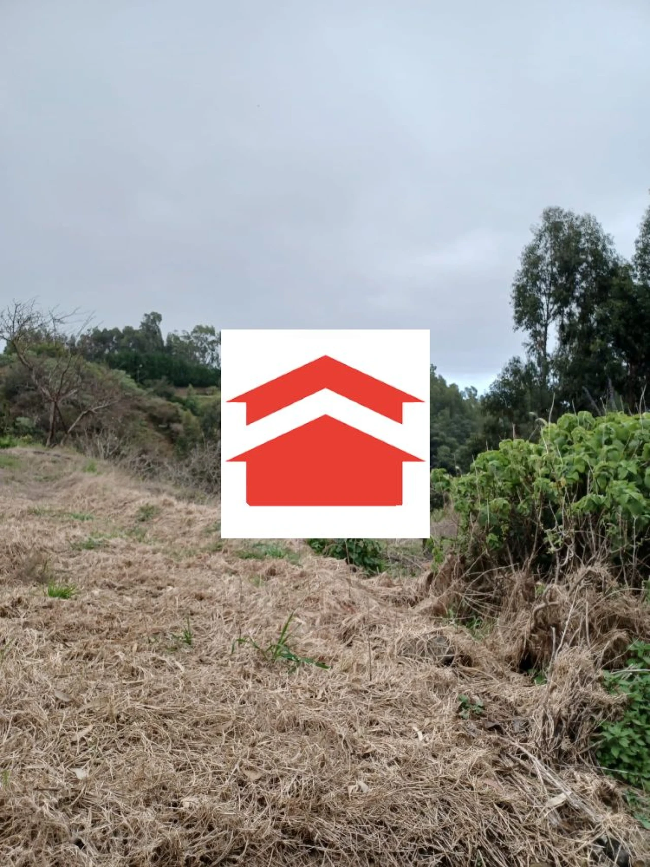 Terreno para Venda em Santa Cruz Foto 7