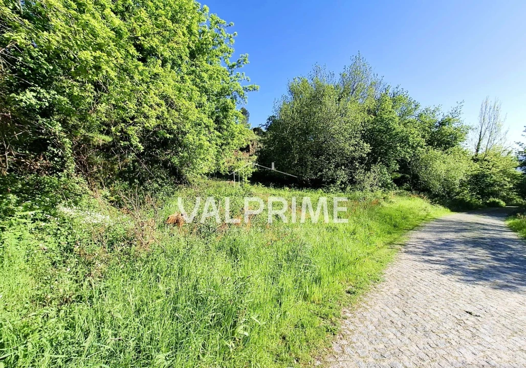 Terreno para Venda em Soalhães Foto 8