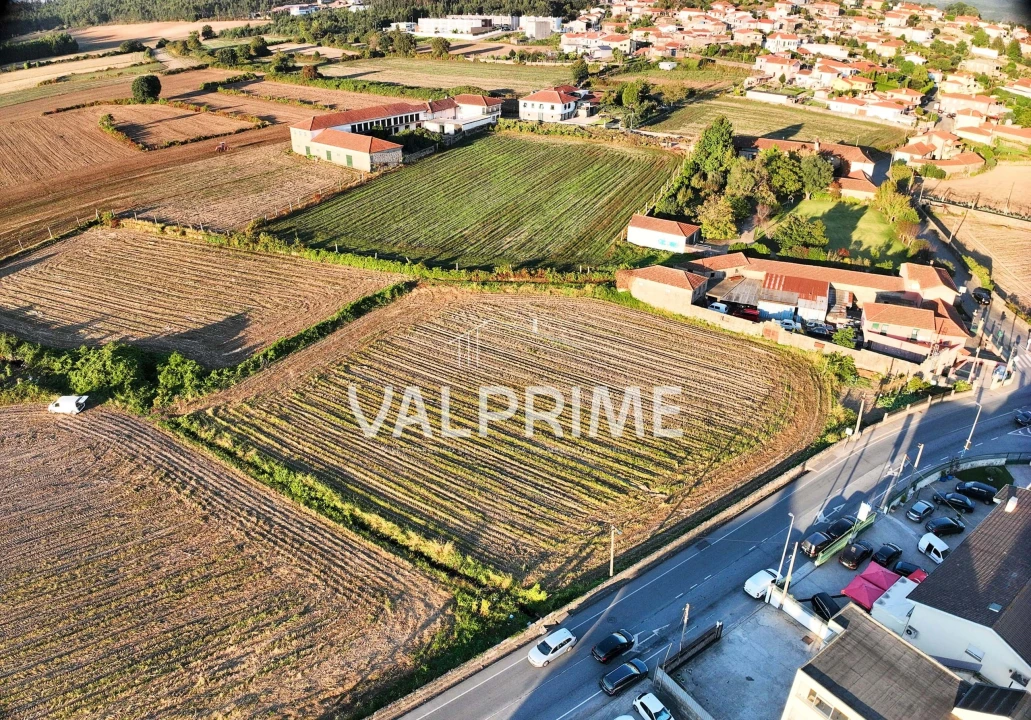 Terreno para Venda em Coronado (São Romão e São Mamede) Foto 8