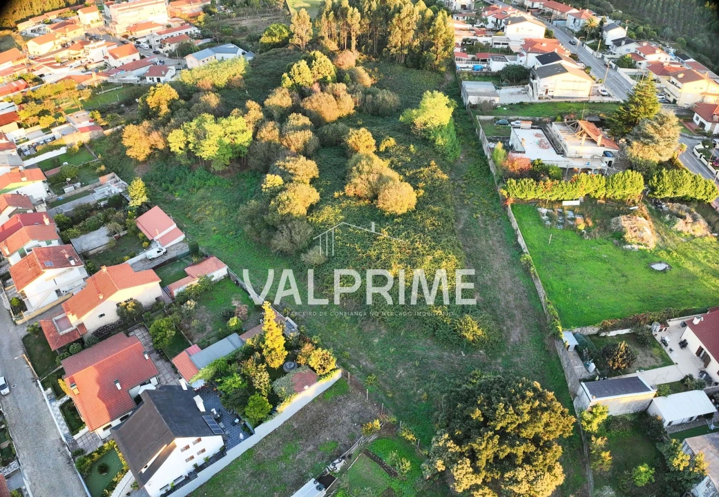 Terreno para Venda em Coronado (São Romão e São Mamede) Foto 14