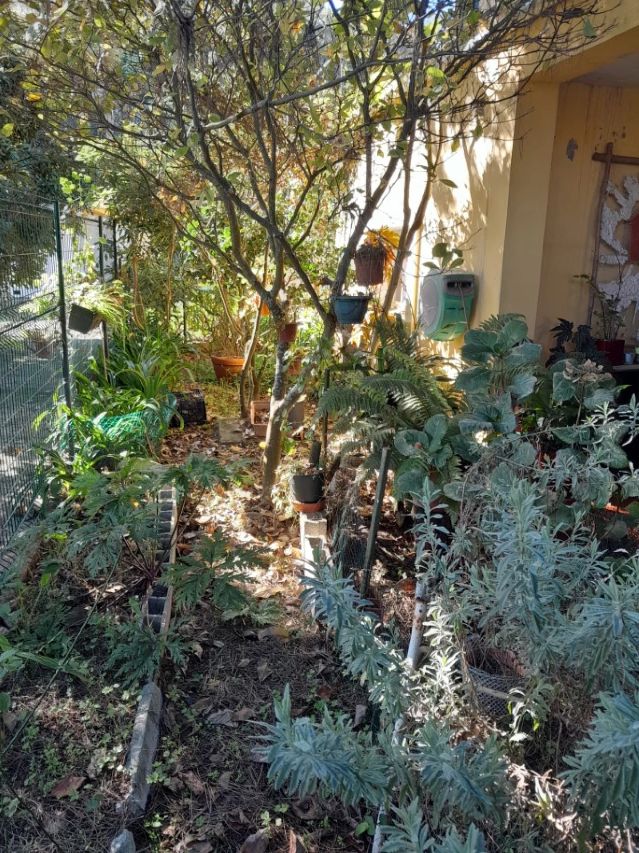 Quinta T5 para Venda em Colares Foto 21