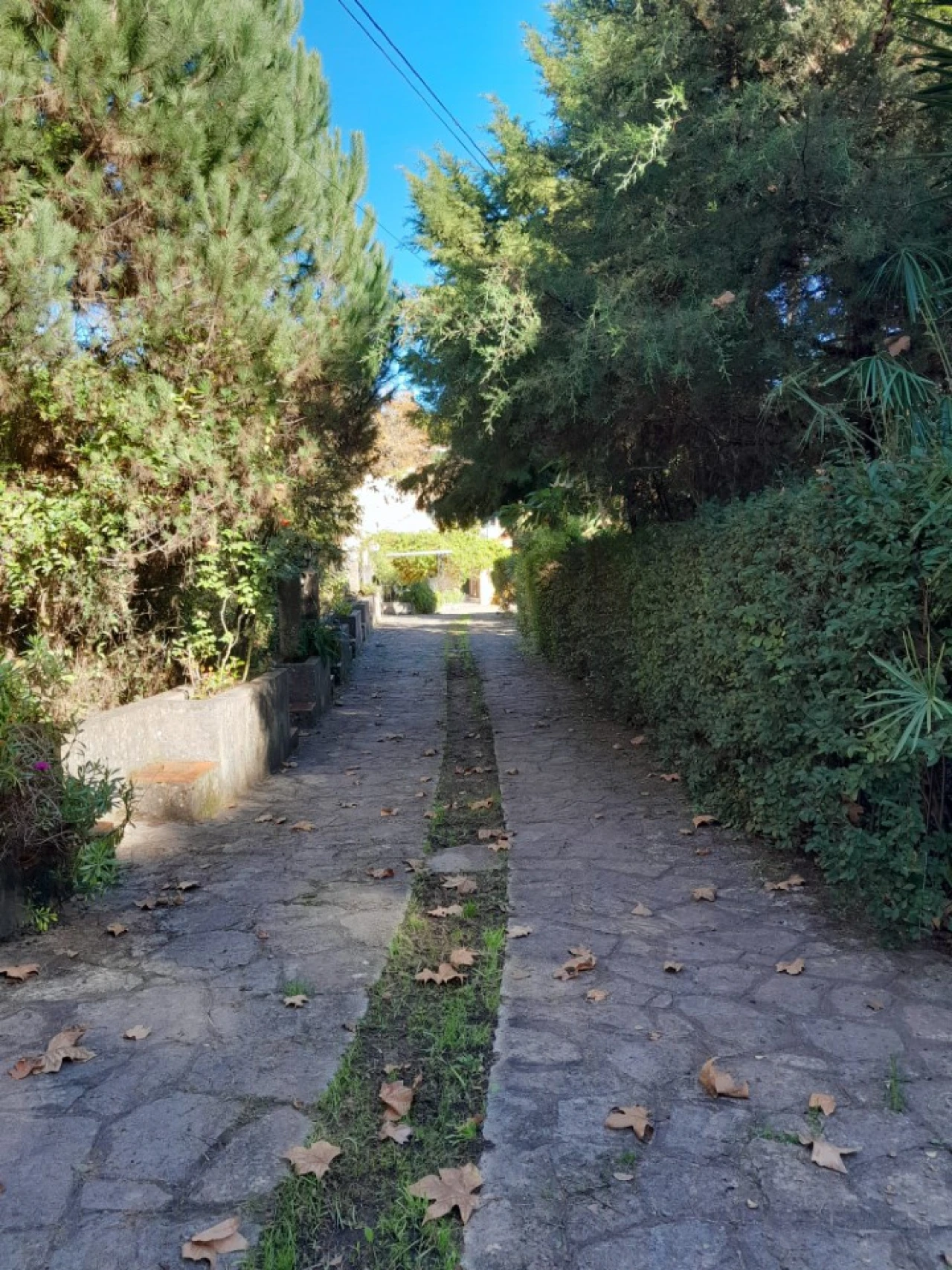 Quinta T5 para Venda em Colares Foto 3