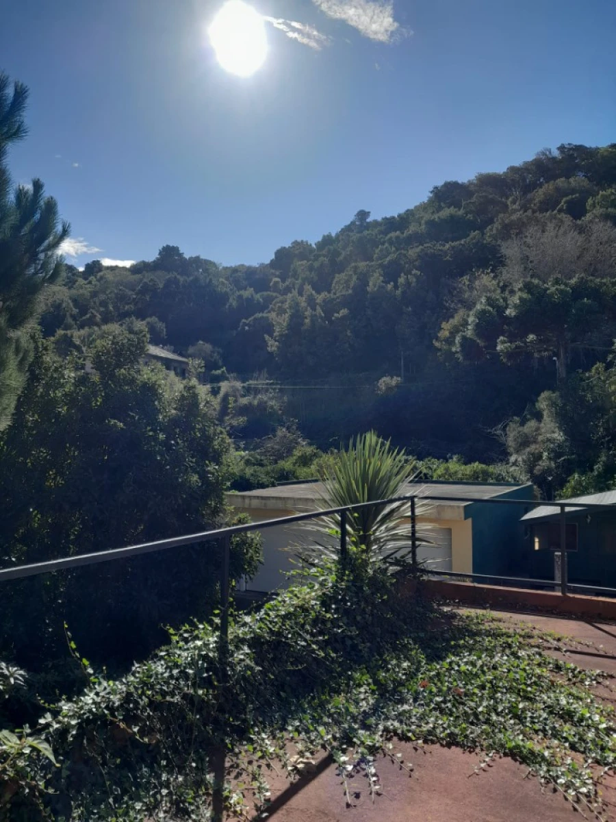 Quinta T5 para Venda em Colares Foto 4