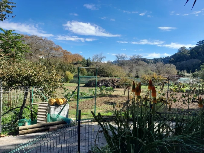 Quinta T5 para Venda em Colares Foto 34