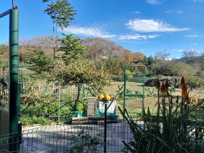 Quinta T5 para Venda em Colares Foto 36