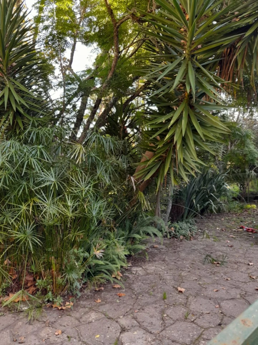 Quinta T5 para Venda em Colares Foto 37