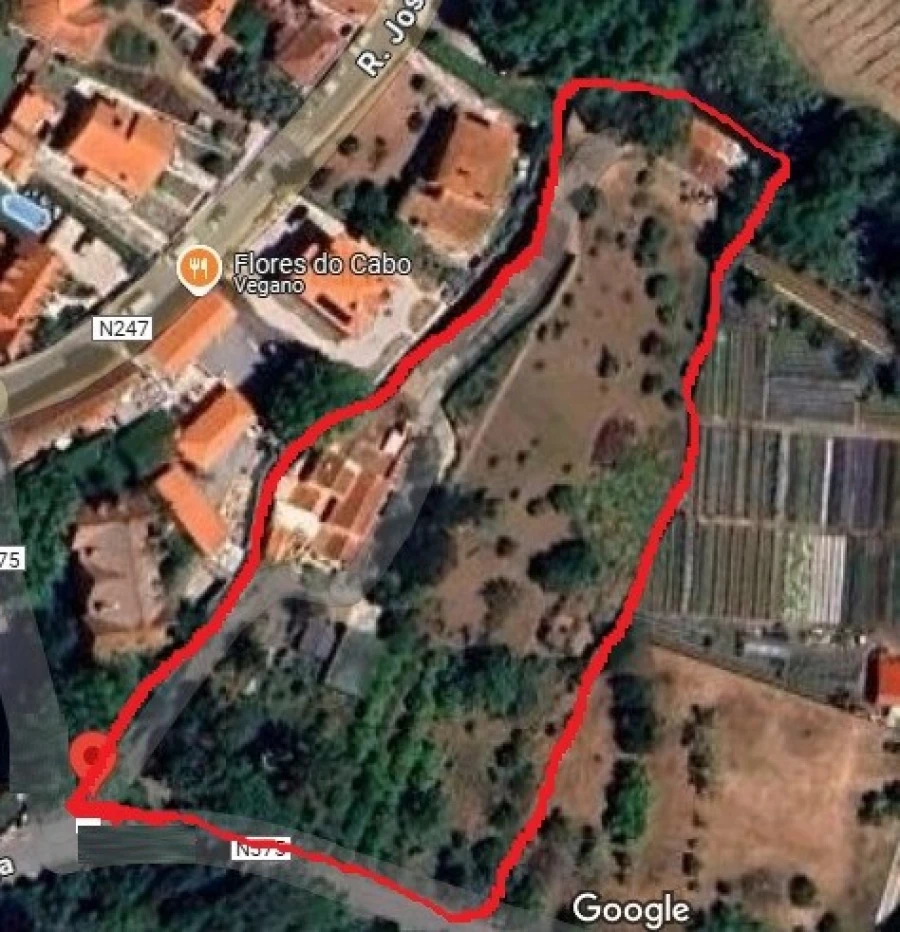 Quinta T5 para Venda em Colares Foto 39