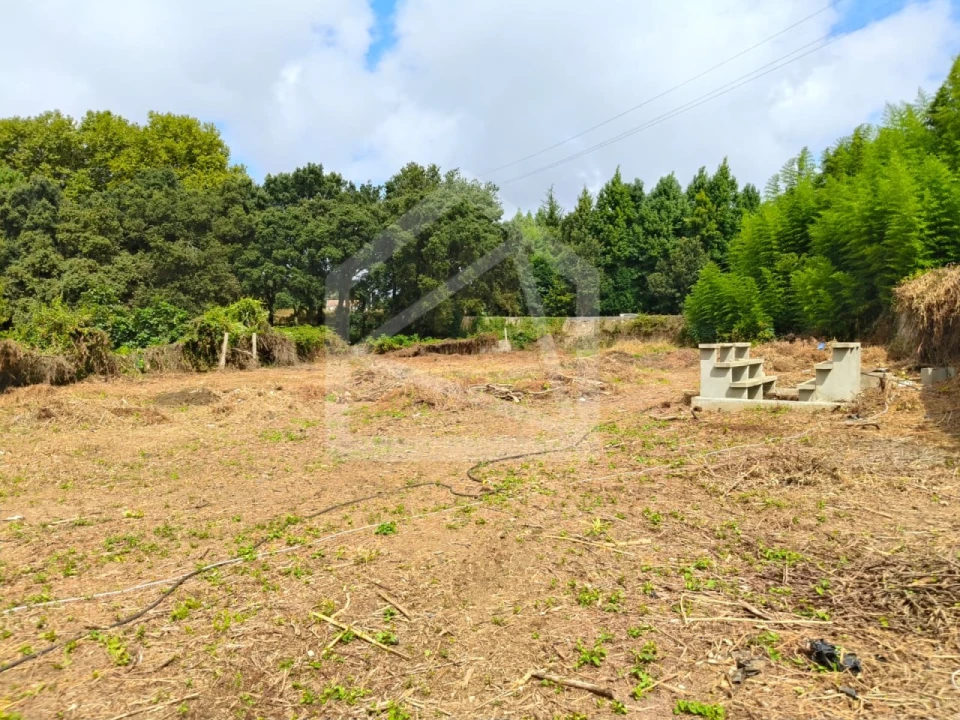 Moradia T3 para Venda em Santa Maria de Lamas Foto 4