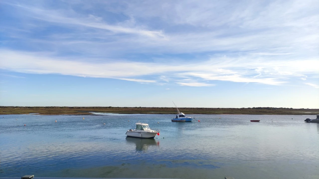 Apartamento T1 para Venda em Conceição e Cabanas de Tavira Foto 3