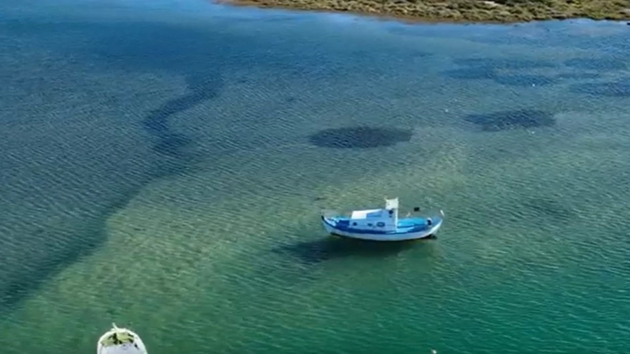 Apartamento T1 para Venda em Conceição e Cabanas de Tavira Foto 15
