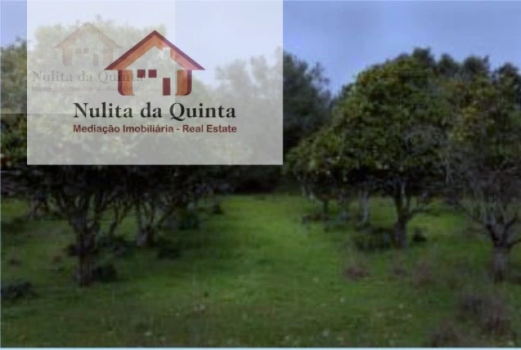 Quinta T19 para Venda em Albufeira e Olhos de Água Foto 4