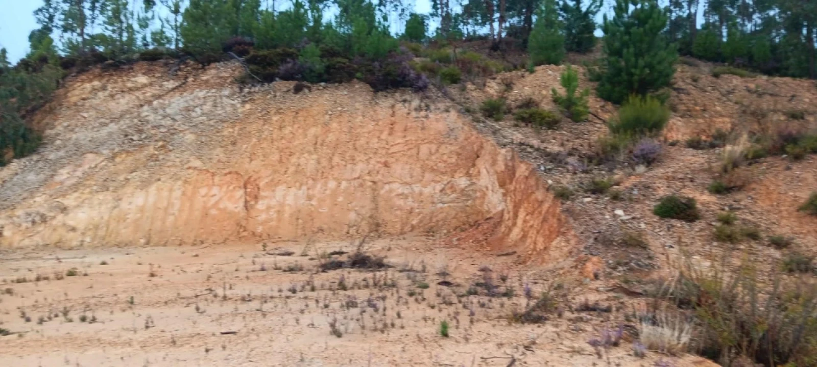 Terreno para Venda em Mação, Penhascoso e Aboboreira Foto 4
