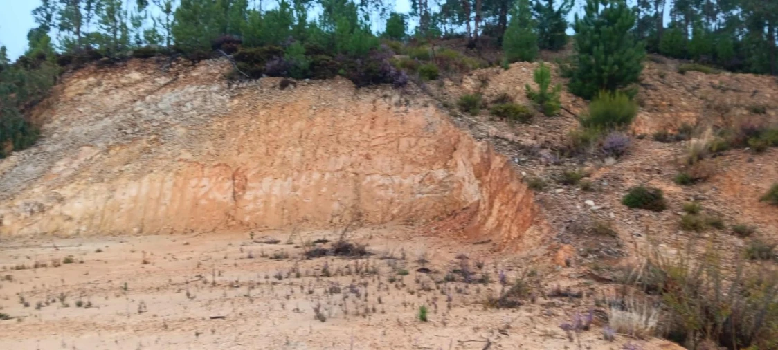 Terreno para Venda em Mação, Penhascoso e Aboboreira Foto 4