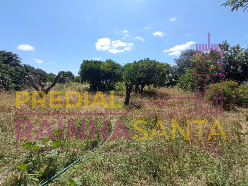 Moradia T2 para Venda em Santo Varão Foto 11