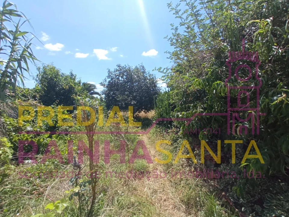 Moradia T2 para Venda em Santo Varão Foto 14