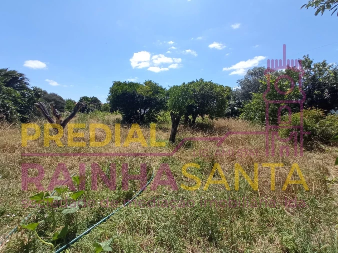 Moradia T2 para Venda em Santo Varão Foto 11