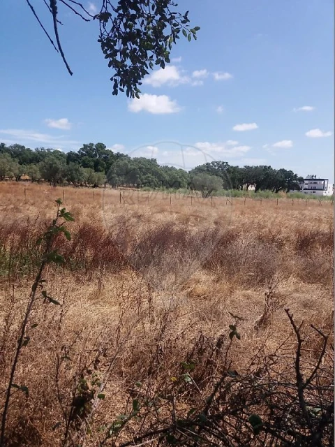 Terreno para Venda em Palmela