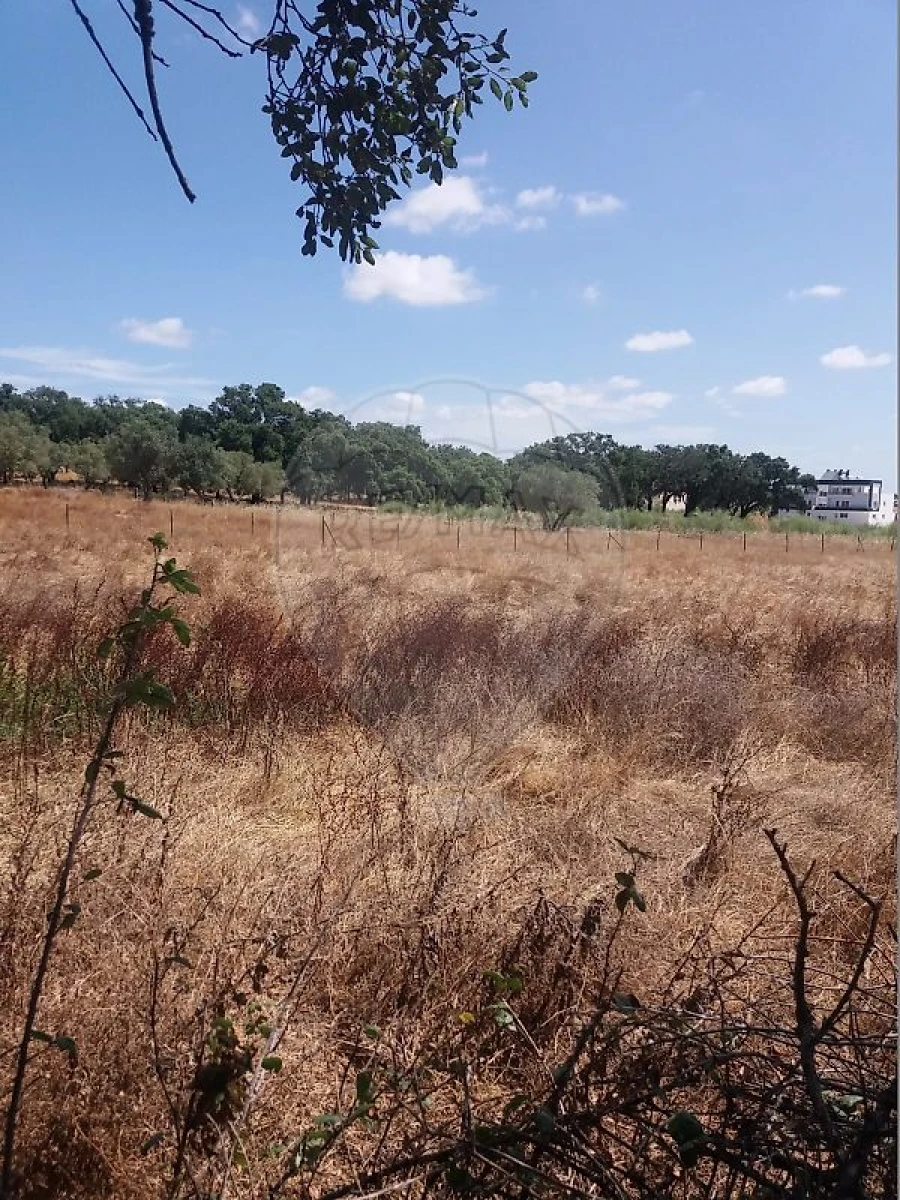 Terreno para Venda em Palmela Foto 3