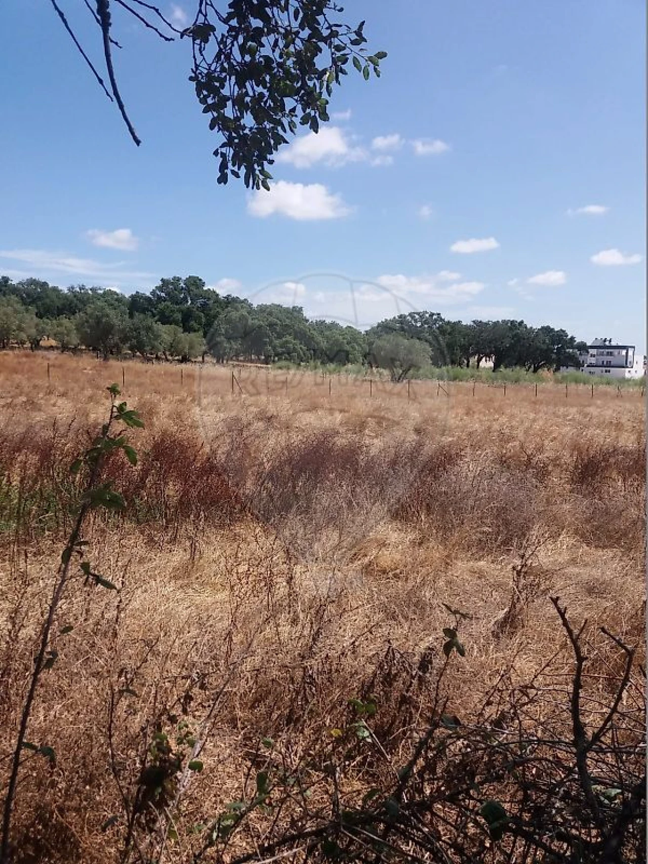 Terreno para Venda em Palmela Foto 3