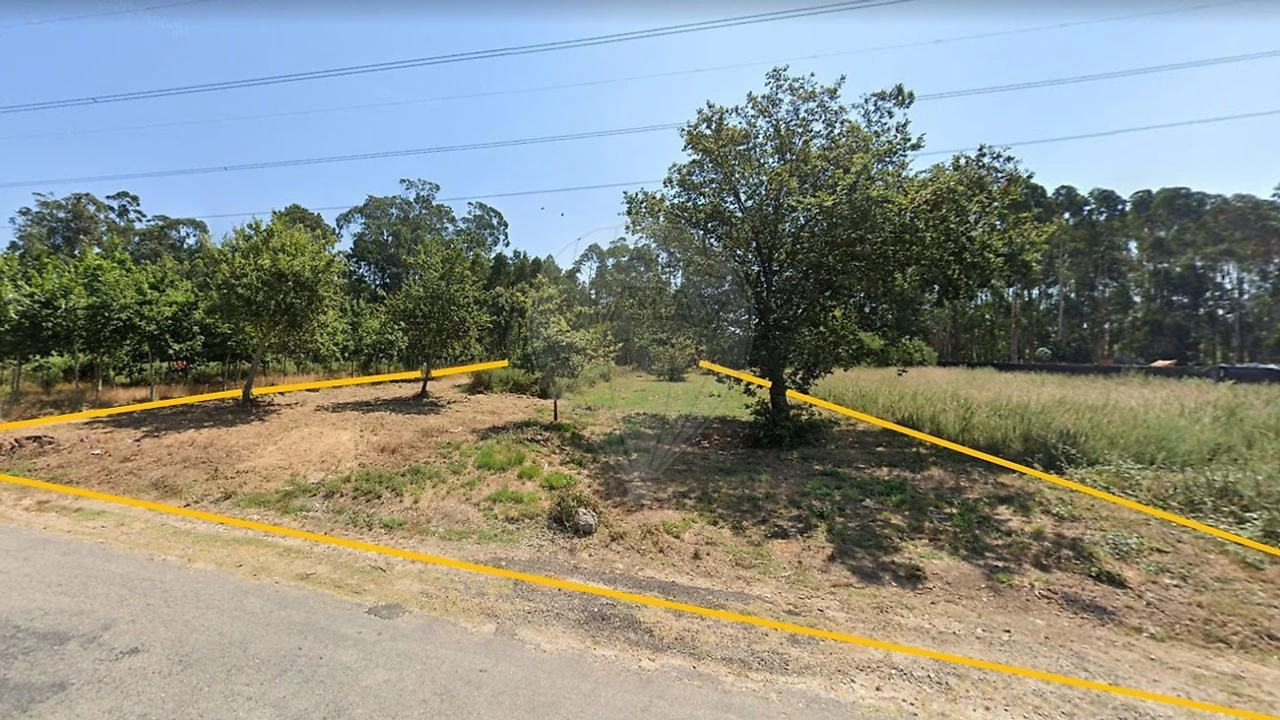 Terreno para Venda em Loureiro Foto 3