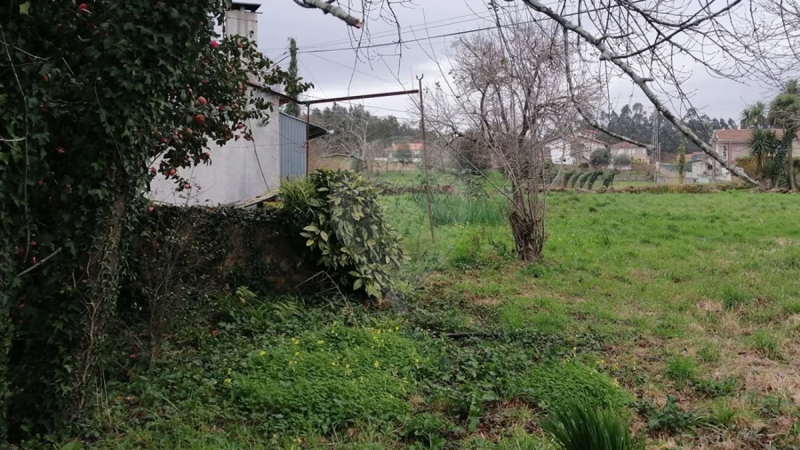 Moradia T3 para Venda em O. Azeméis, Riba-Ul, Ul, Macinhata Seixa, Madail Foto 8