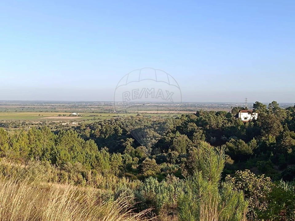 Terreno para Venda em Azambuja Foto 13