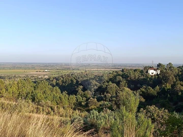 Terreno para Venda em Azambuja