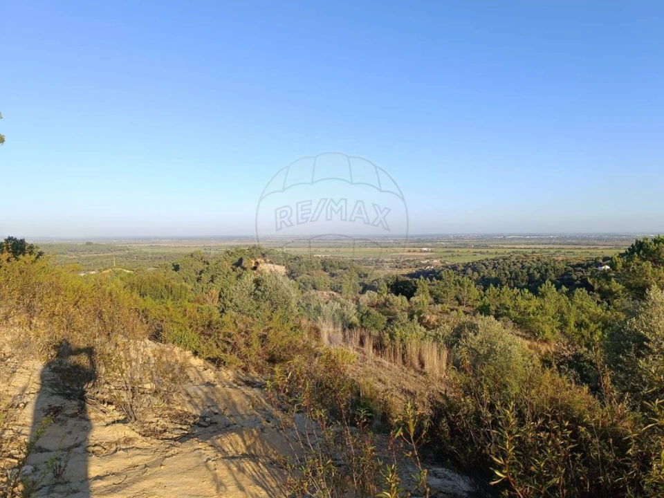 Terreno para Venda em Azambuja Foto 11