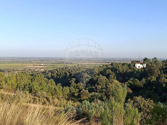 Terreno para Venda em Azambuja Foto 13