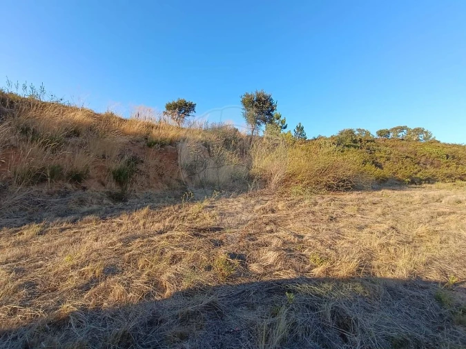 Terreno para Venda em Azambuja Foto 10