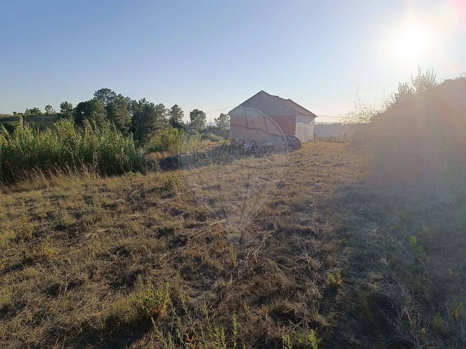 Terreno para Venda em Azambuja Foto 7