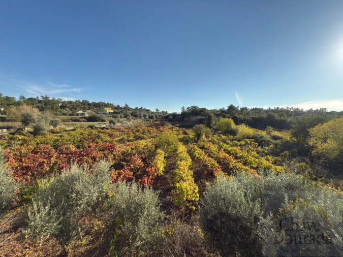 Moradia T3 para Venda em São Miguel, Santa Eufémia e Rabaçal Foto 21